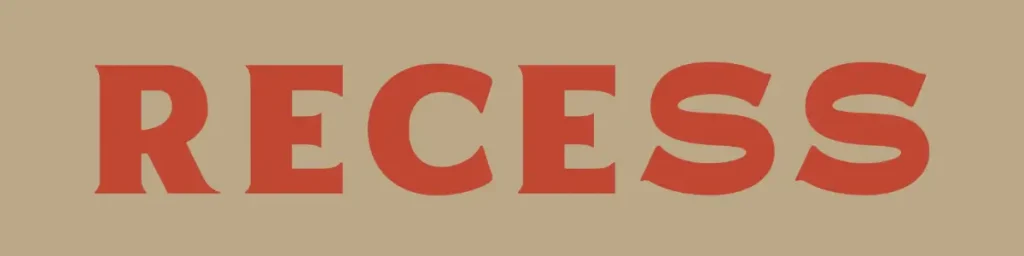 Marca di racchette pickleball personalizzate Recess Pickleball